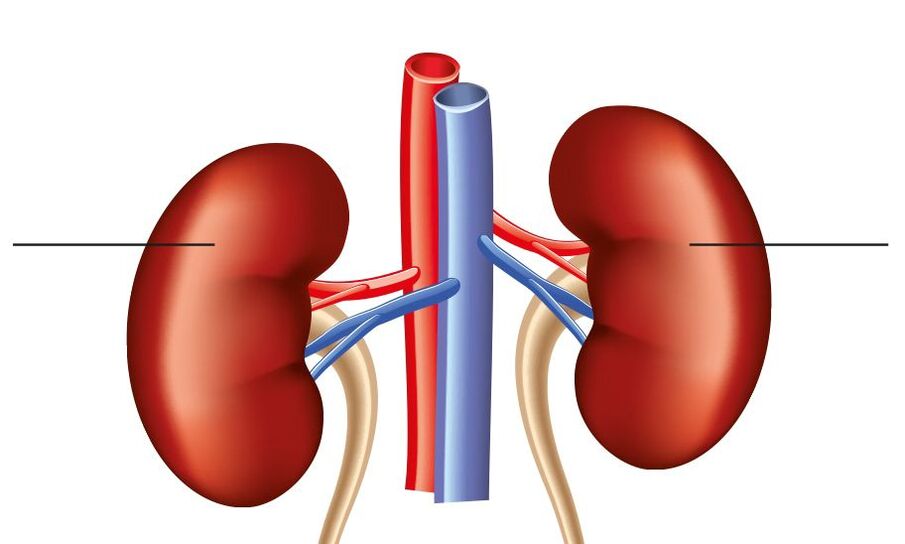 hypertension rénale